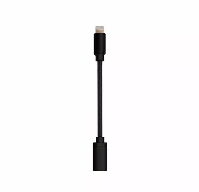 Lightning to USB-C Receptacle Cable (for Ztella)