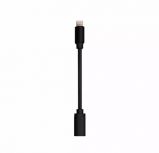 Lightning to USB-C Receptacle Cable (for Ztella)